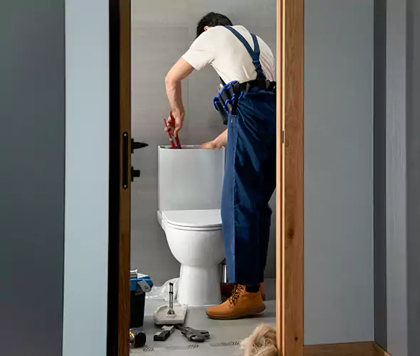 Professional Plumbers for Toilet Bowl Replacement in Durham, NC: Schedule Affordable Toilet Replacement Services With Us