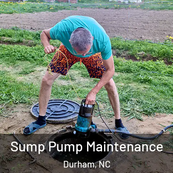  Sump Pump Maintenance Durham, NC